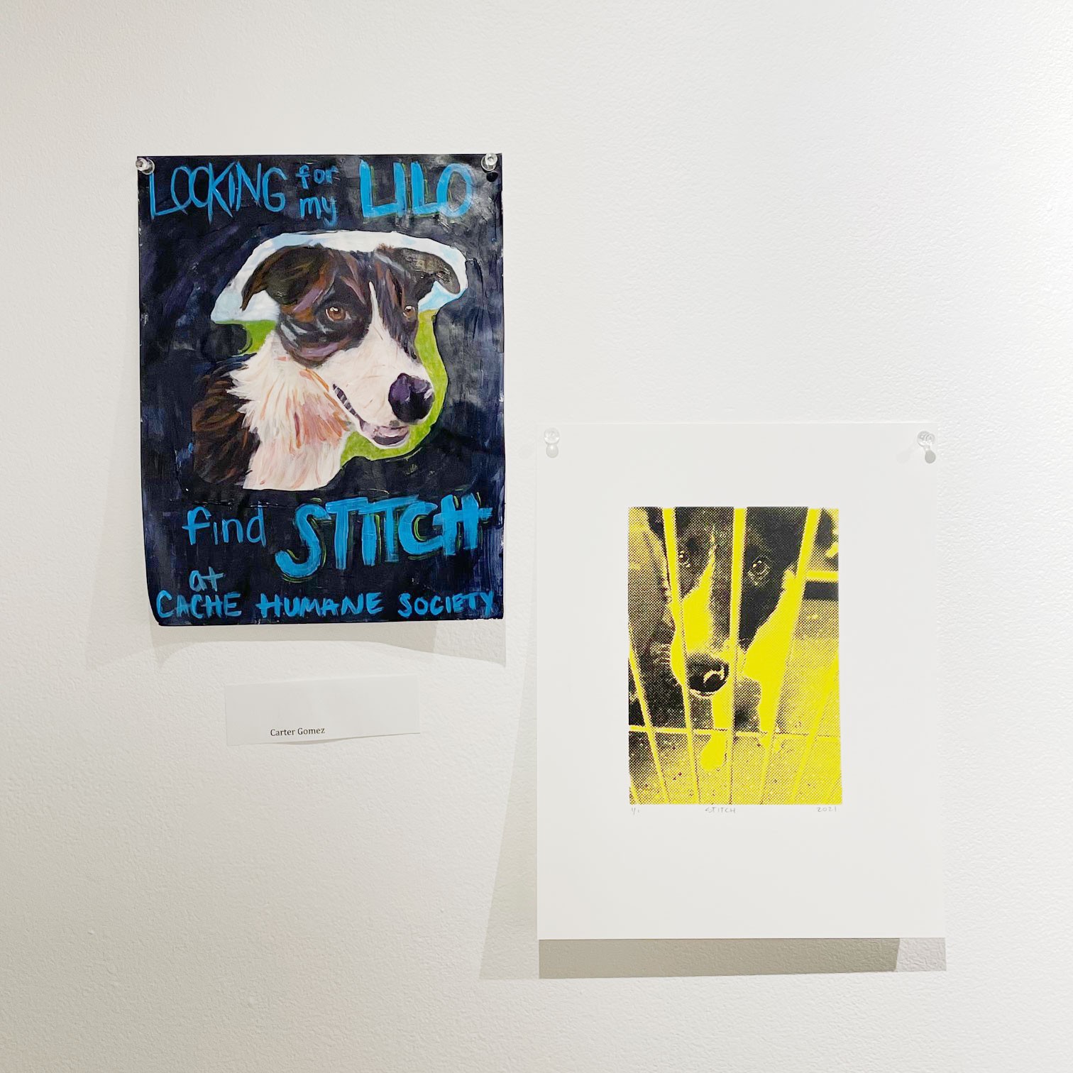 A student project with pictures of dogs hangs in a gallery.