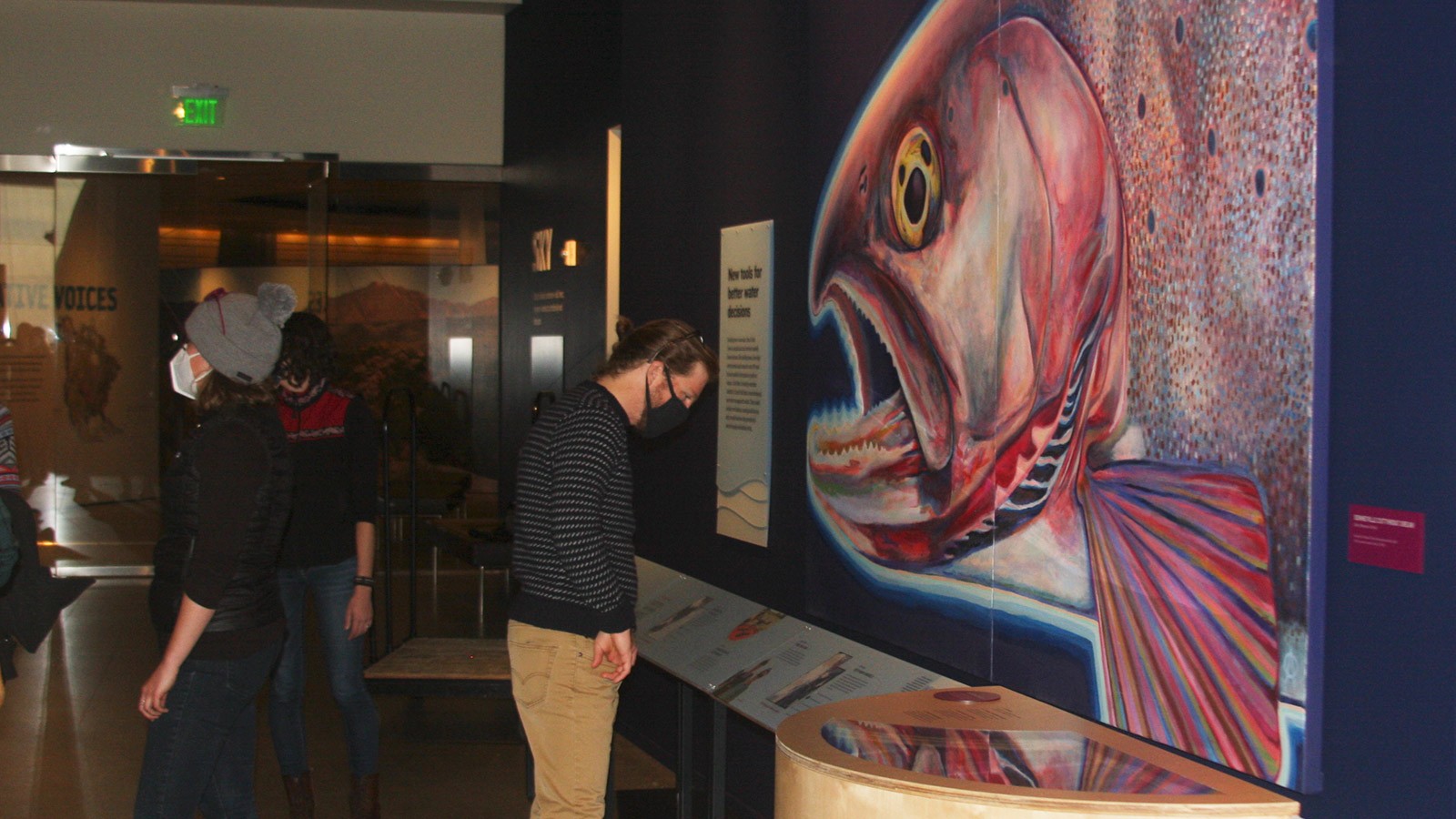 Art depicting Sarah Null's research interest.