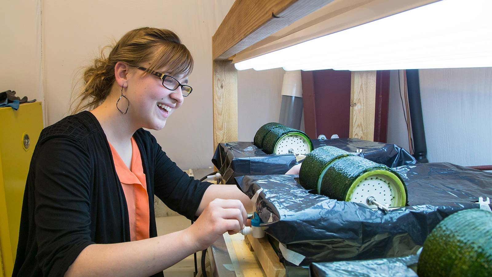 A student works with an experiment.