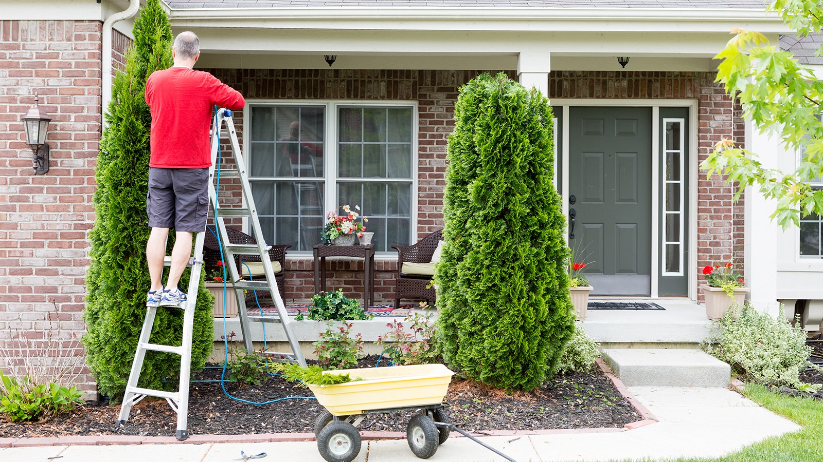 A man stands on a ladder in front of his home trimming bushes.