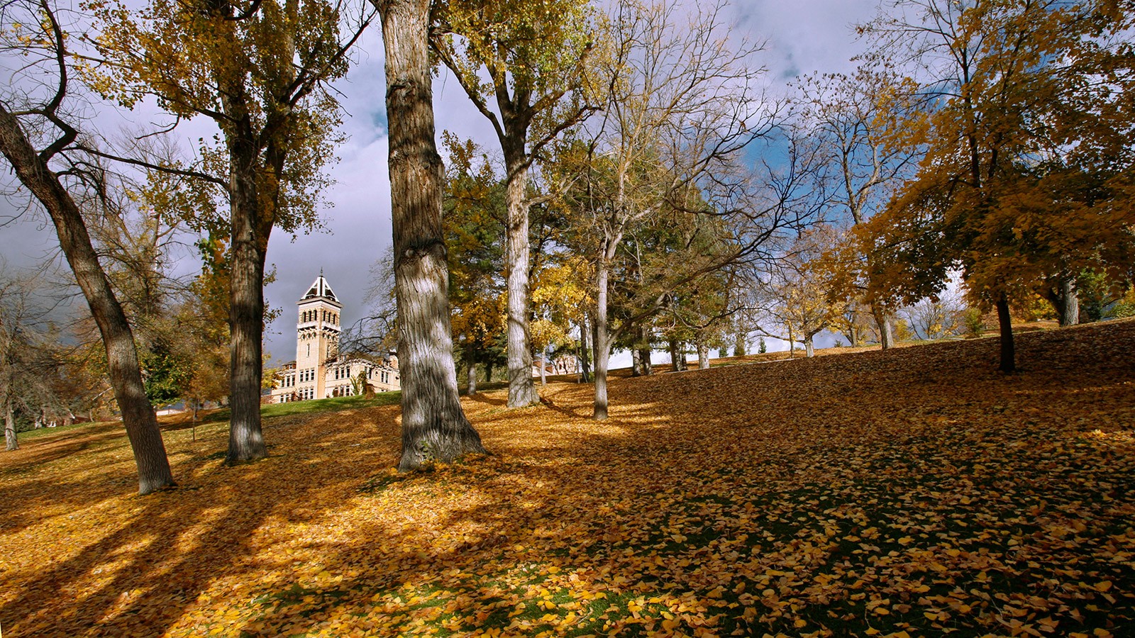 Old Main hill with fall leaves. Old Main in the background.