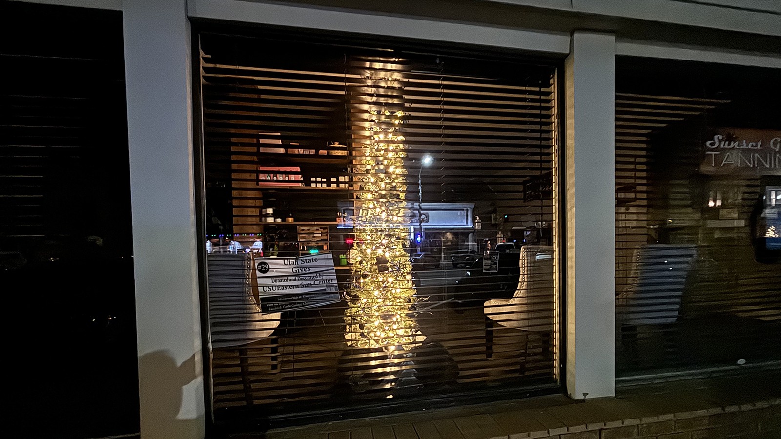 A Christmas tree in a window.