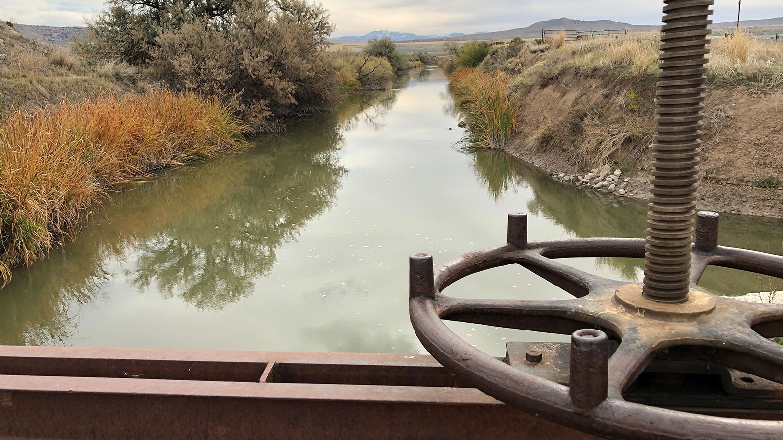 A rural canal is seen behind a sluice gate control wheel.