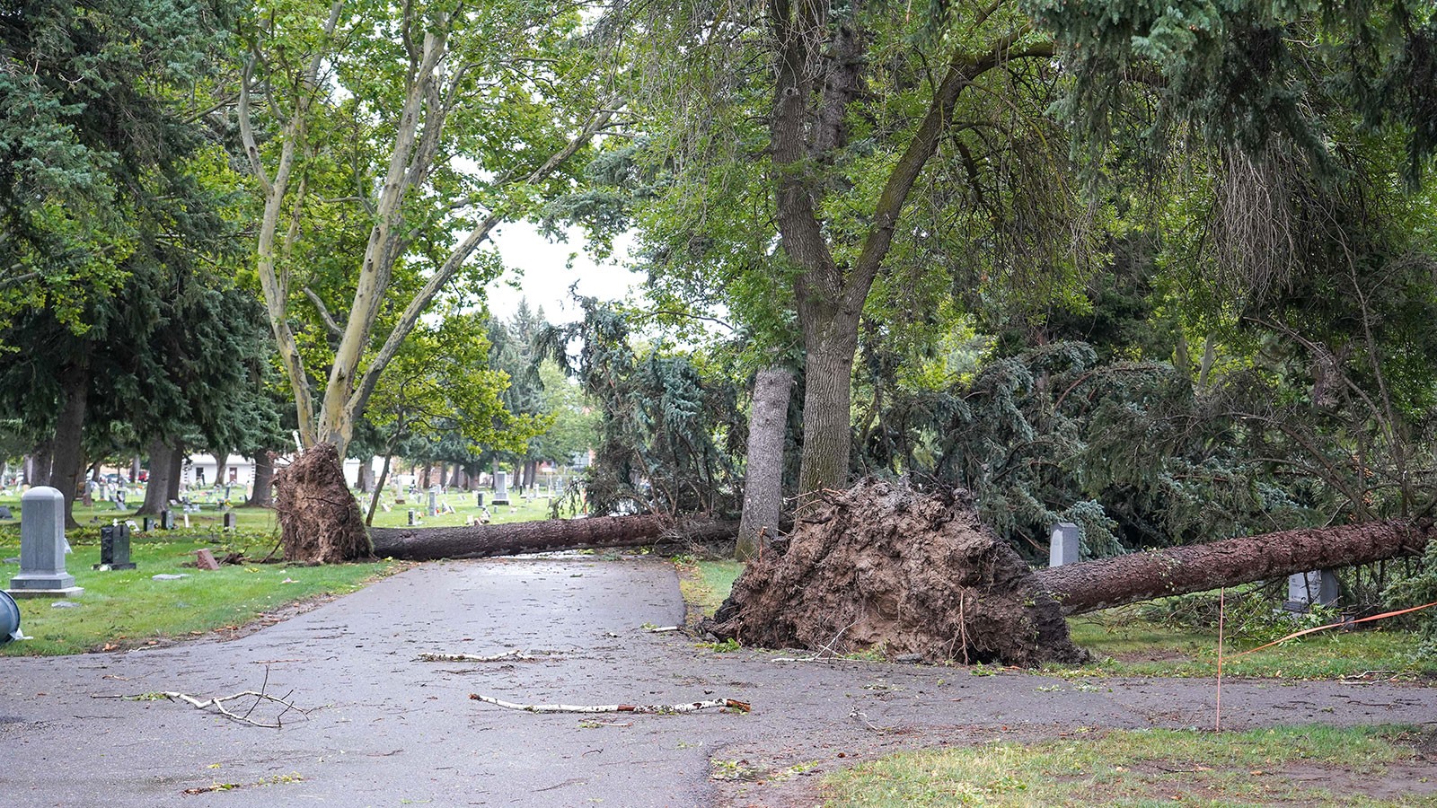 Damage in the Logan City Cemetery following hurricane-force winds in September.