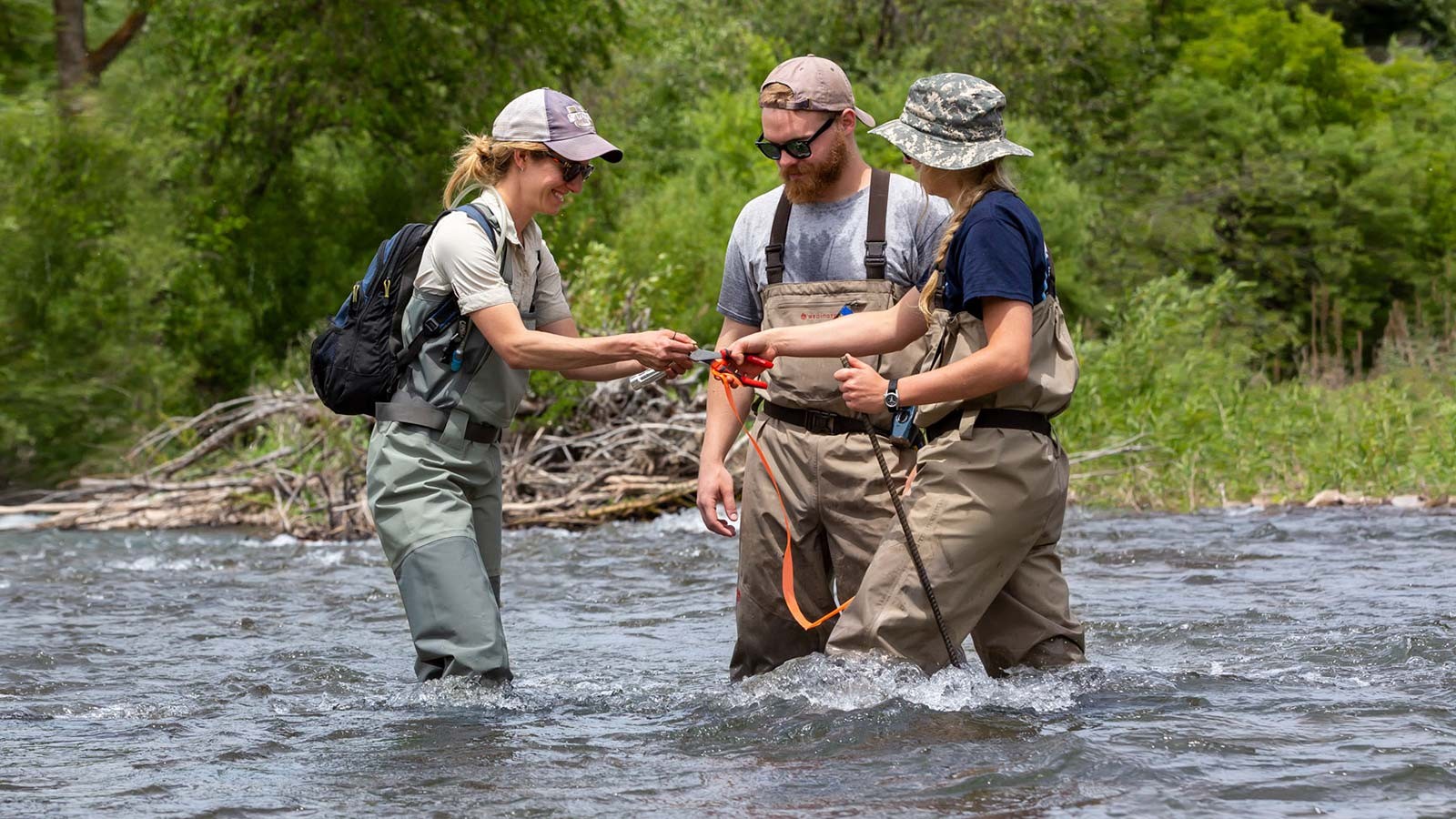 Belize Lane and two other researchers wade in a river.