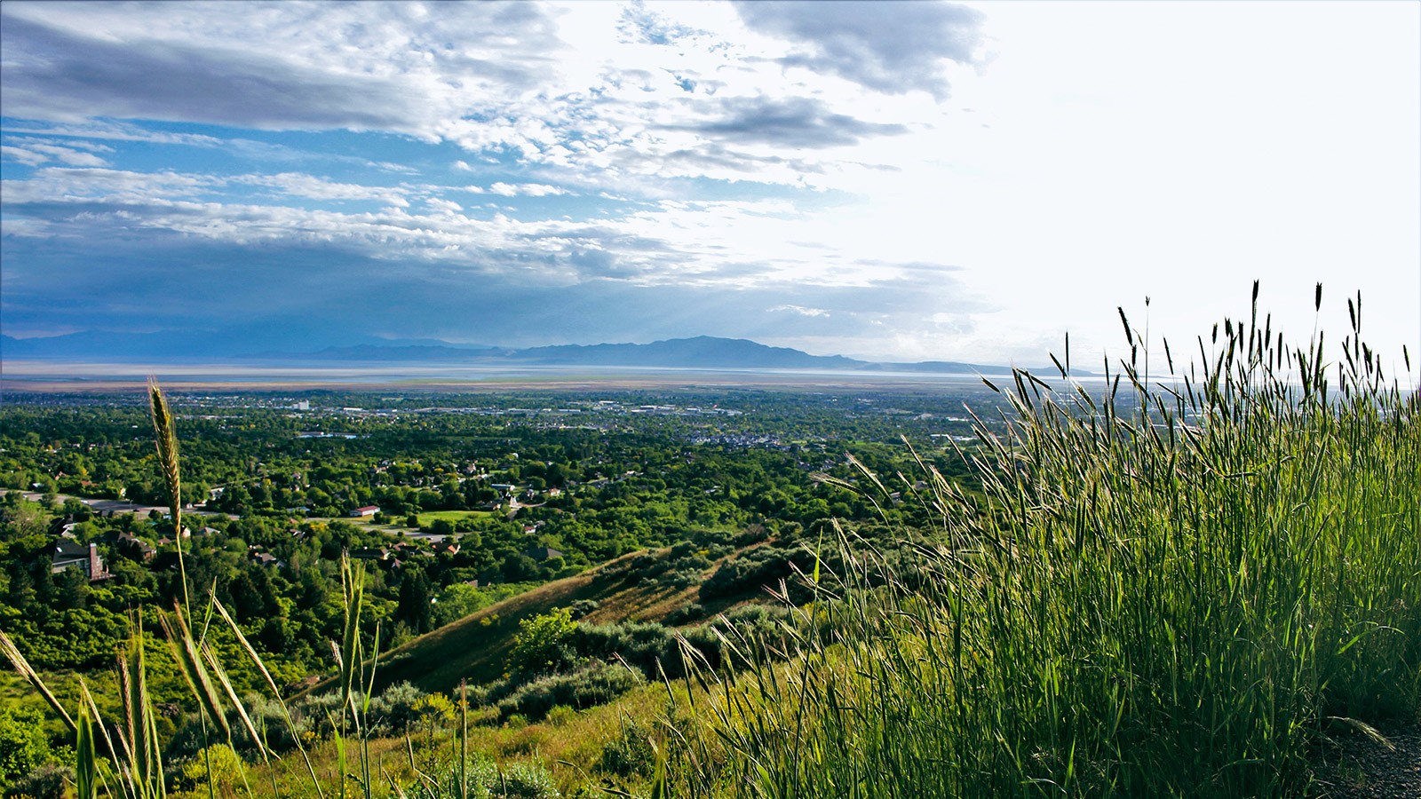 View of Davis County from a mountaintop.