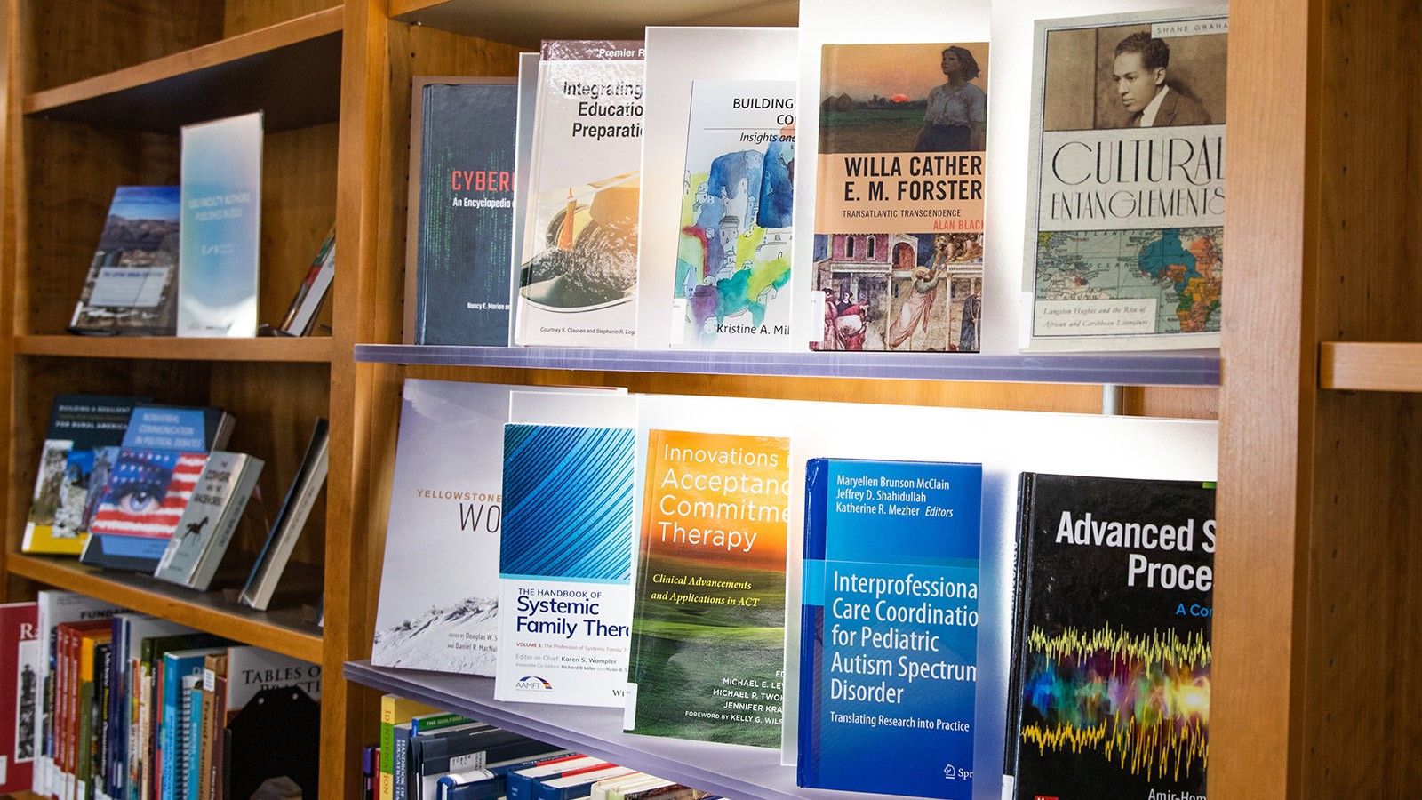 A small display in the New Books Lounge in the Merrill-Cazier Library.