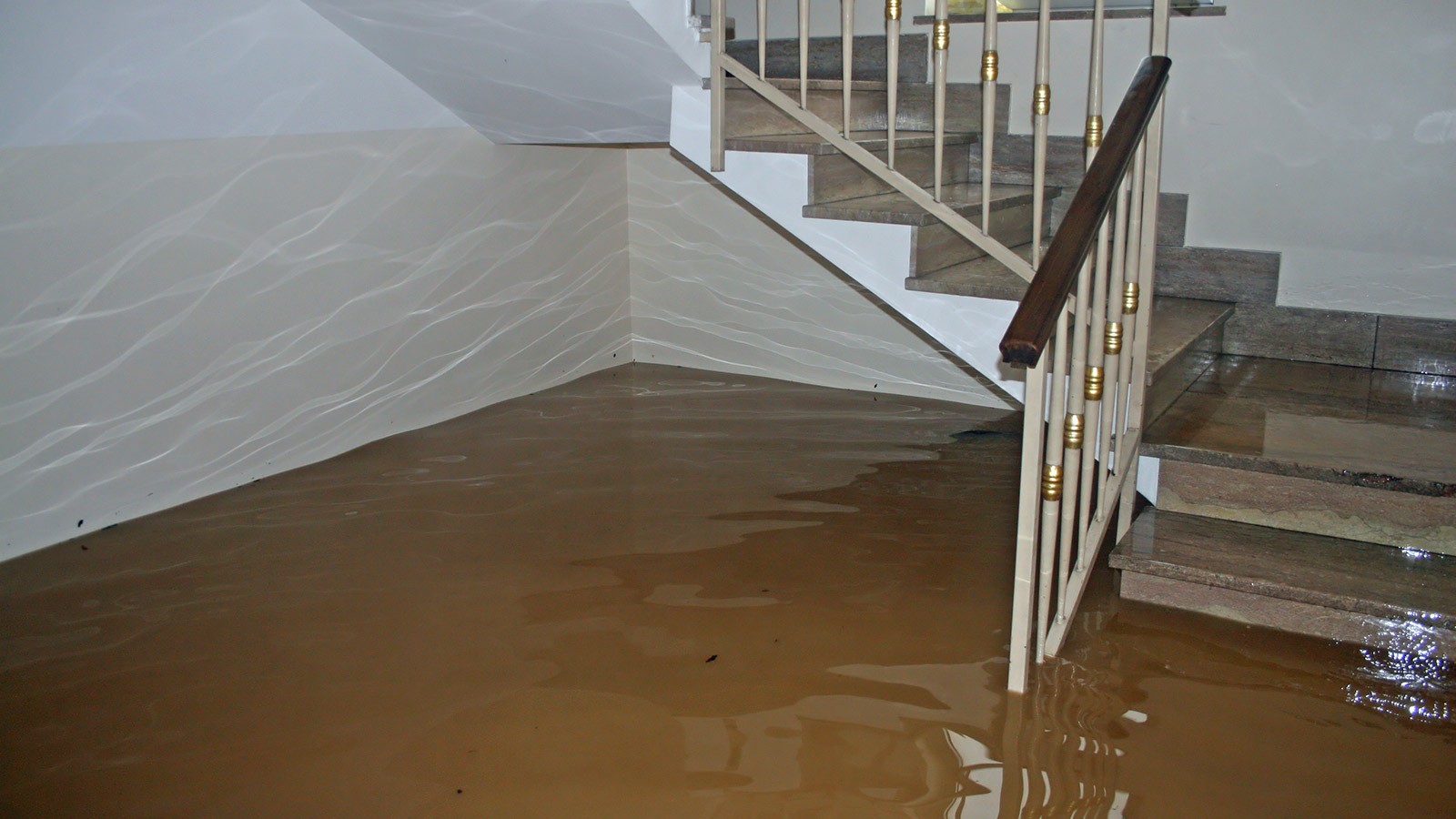 Flooded basement in a home.