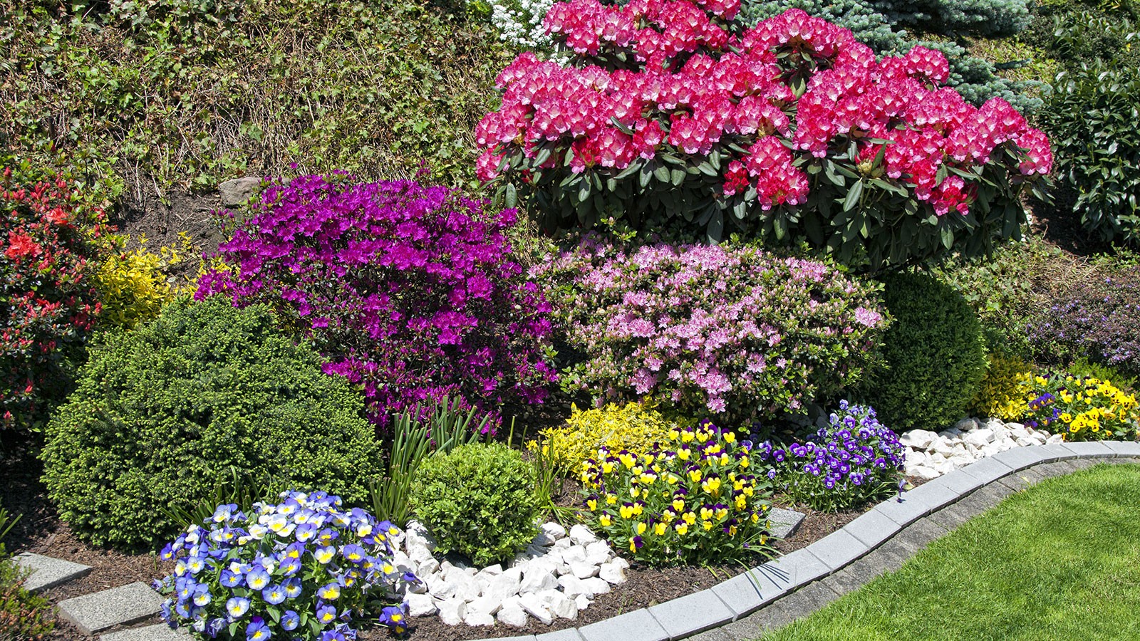 flower garden with perennials.