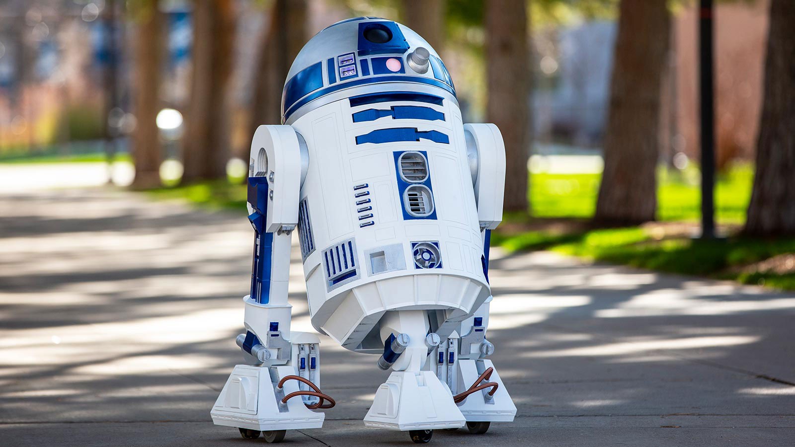 Glen Wright's one-to-one scale model of a famous Star Wars character.