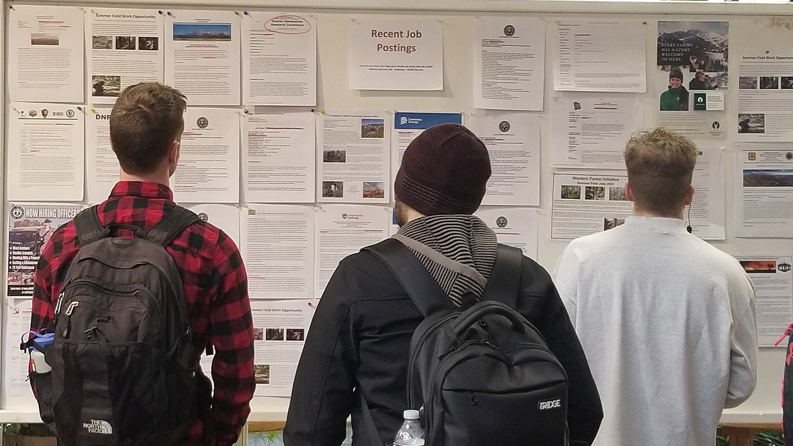 students look at job postings at the QCNR job fair.