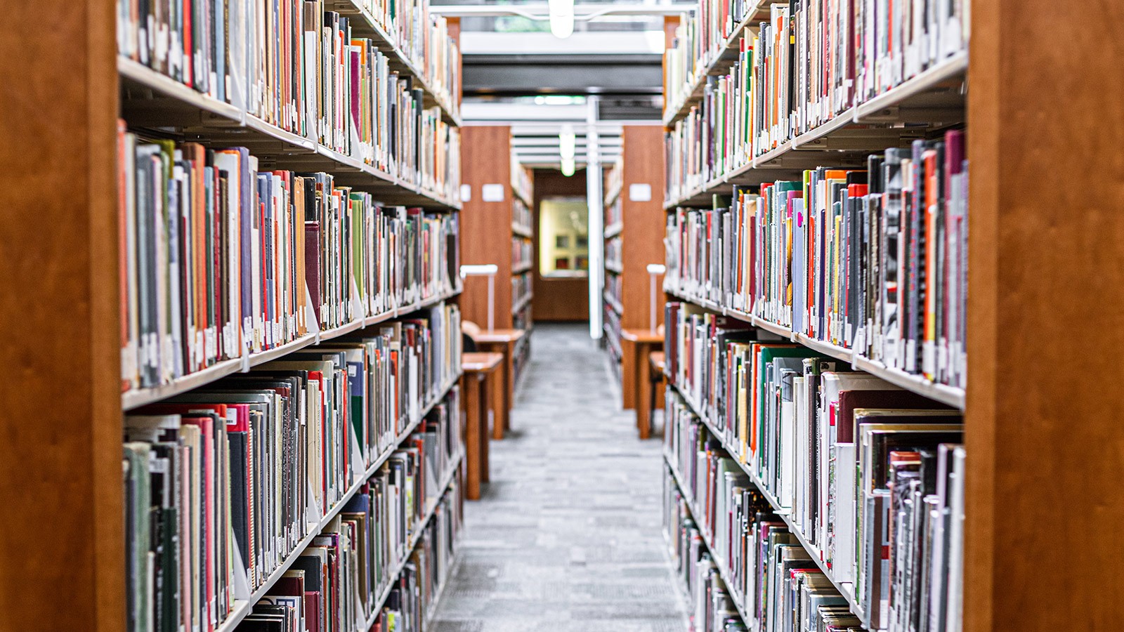 Library stacks.