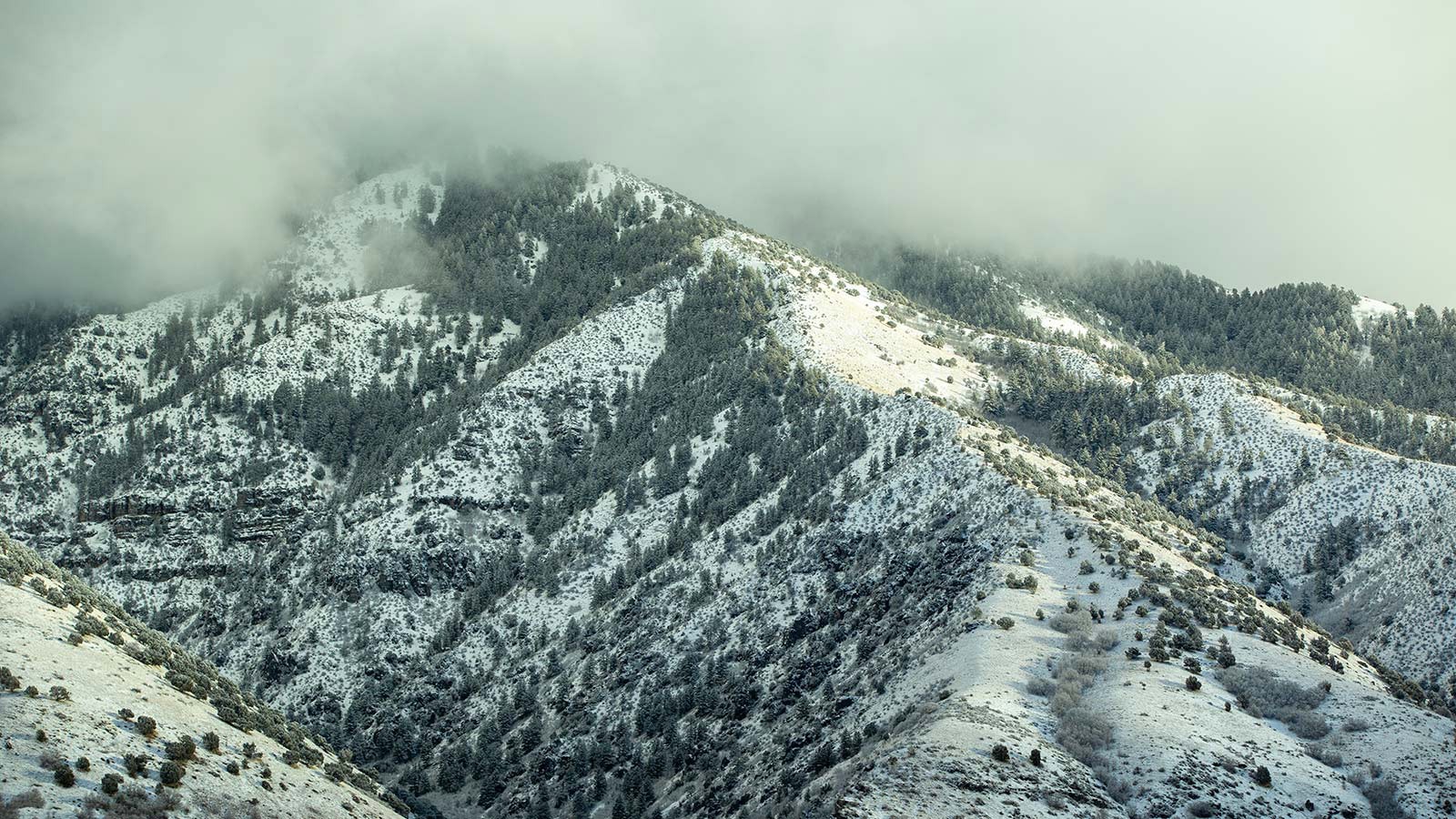 Snowpack on a mountain.