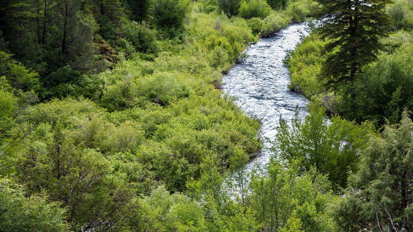 Aerial view of the Logan River watershed.