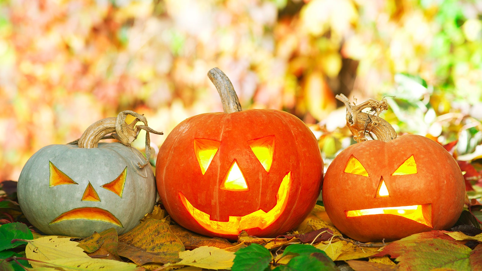 Carved jack-o-lanterns.