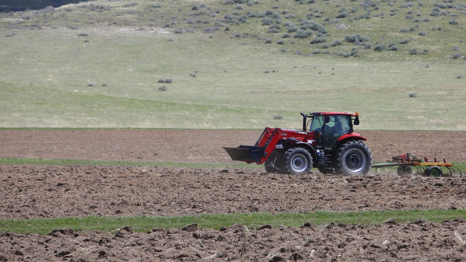 tractor in a field.