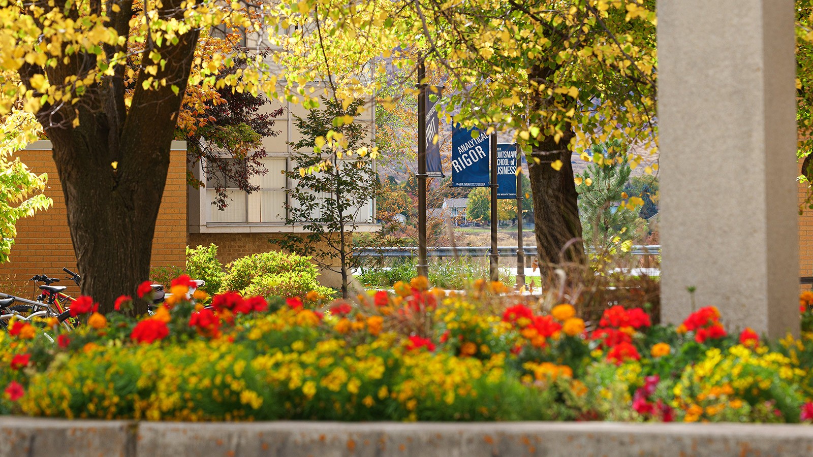 Flower beds on USU campus.